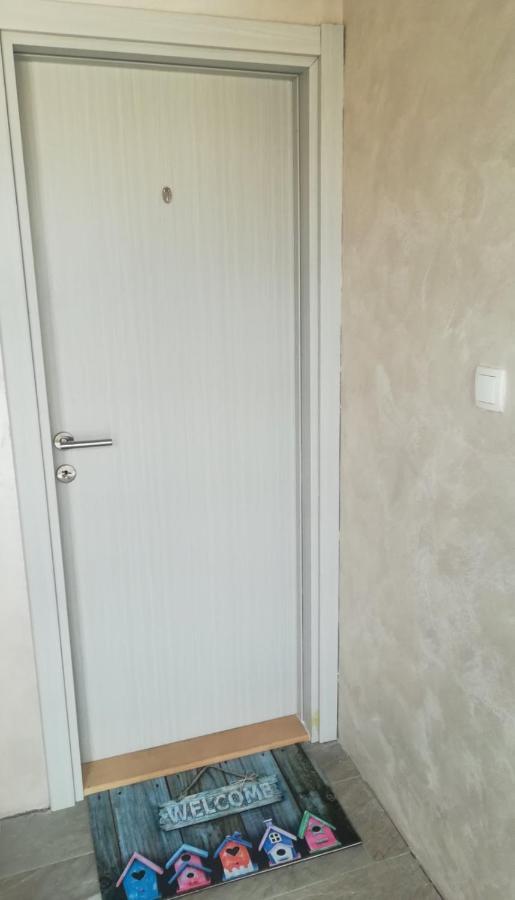 Zen Apartmani نوفي ساد المظهر الخارجي الصورة